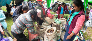 En Cusco: En el Distrito de Vilcabamba se desarrollo Feria Agropecuaria 2023